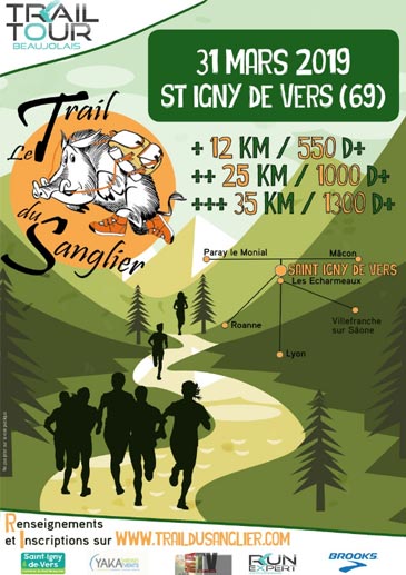 Affiche Sanglier19